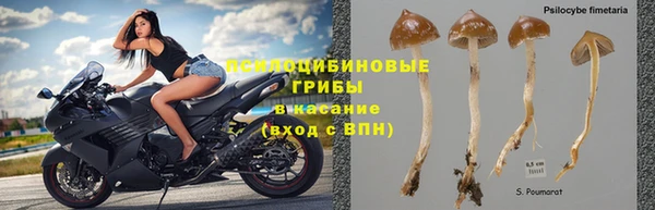 герыч Семикаракорск