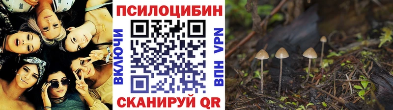 купить   kraken маркетплейс  Галлюциногенные грибы Cubensis  Талдом 